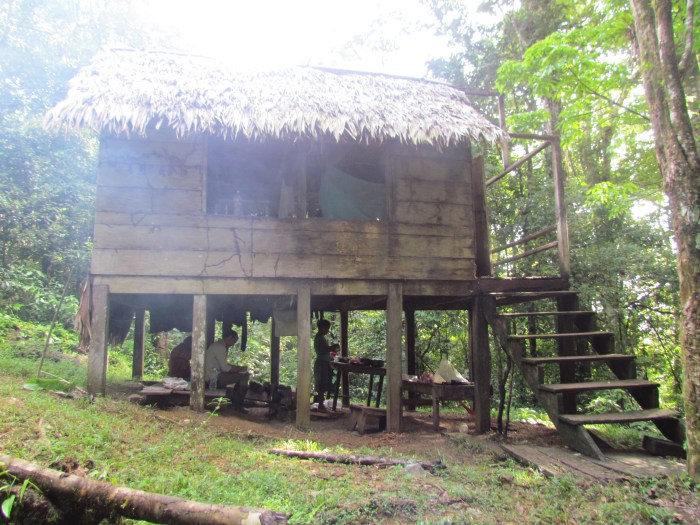 The cabin in the woods